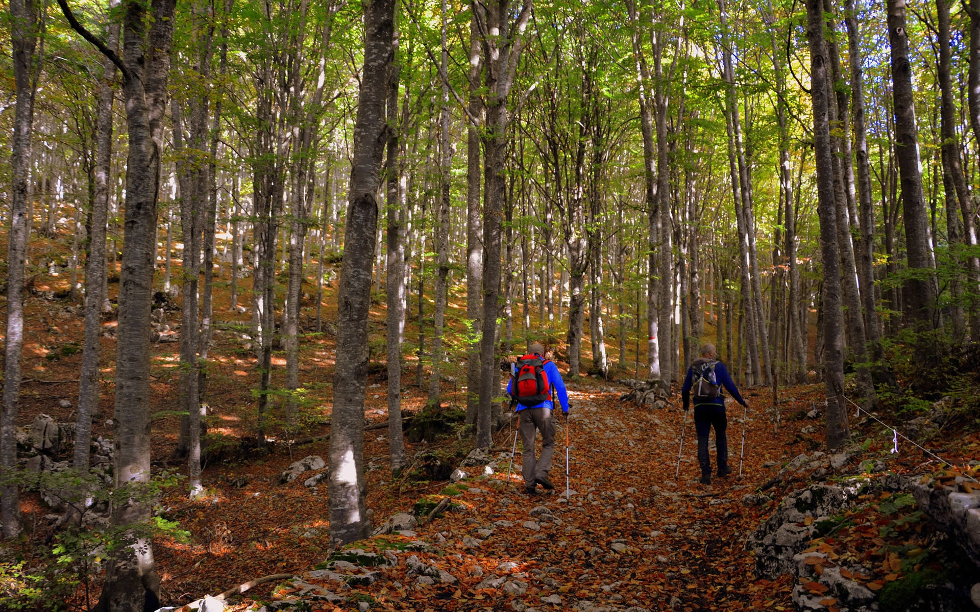 Hotel Ristorante Il Caminetto