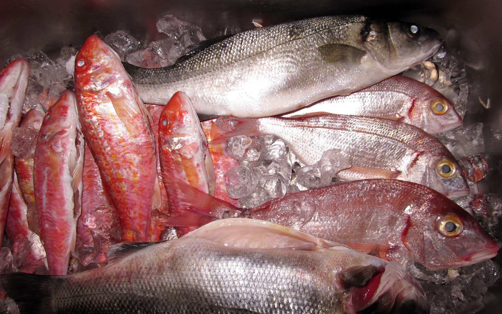 Hotel Ristorante Il Caminetto