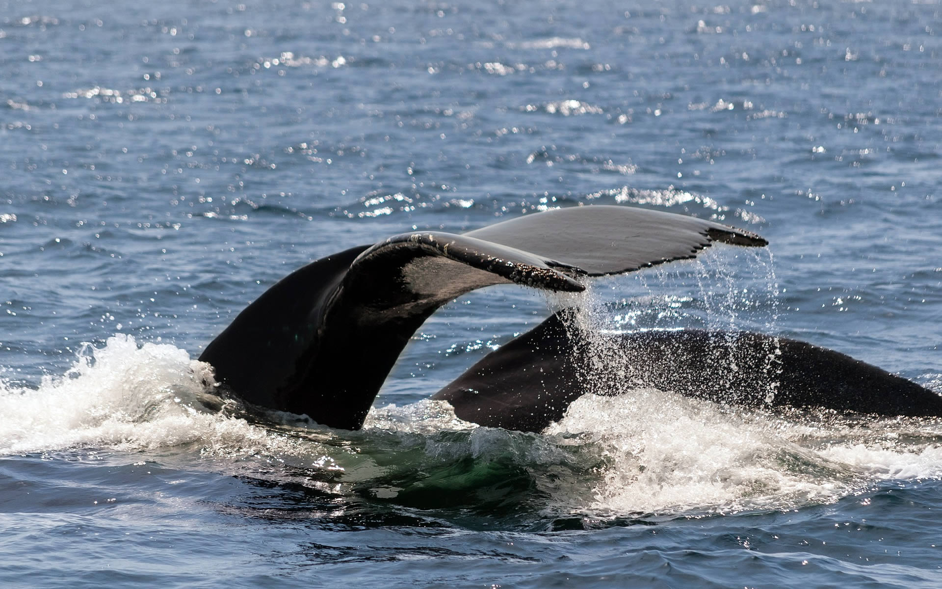 Hotel Ristorante Il Caminetto