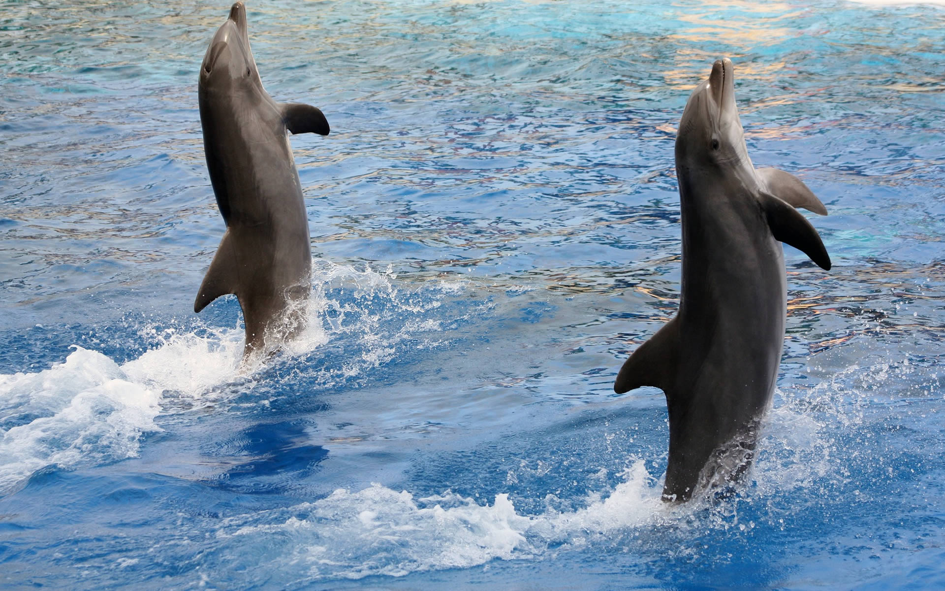 Hotel Ristorante Il Caminetto